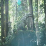 日差しとコマイヌ #桜松神社　#八幡平市　#岩手県 #ファインダー越しの私の世界　#OLYMPUS #omsystem #キリトリセカイ　#photography #写真で奏でる私の世界 #om写真投稿