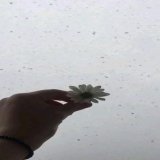 #hayırlıcumalar ALLAH kalbinizden ge&ccedil;en hayırlı dualarımızı kab&uuml;l etsin
