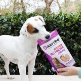 Why take one when you can take the whole bag?  . #cbdfordogs #cbd #dogcbd #cbdcommunity #dogstagram #dogmom #doglover #dogtricks #dogtreats #dogsofinstagram #jrt #jackrussellterrier #jackrussell #jackrusselllovers #jackrusselllife #jackrussellsofinst