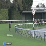 #箱根駅伝  1区現在の状況  関東学生連合がパンサラッサしている。大逃げだが、後ろが牽制してドスローなので後半大きな失速はしないはず。昨年の天皇賞とそっくりの展開だ。