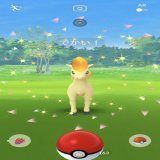 でかい!ポニータ  #PokemonGO #pokemonGO #ポケモンGO #ポケモンGOしてる人と繋がりたい #ポケモンgo好きな人と繋がりたい #ポニータ