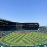 着席 浜風が心地良い  今日は大竹投手 大竹選手って通算16勝10敗で史上21人目の12球団勝利目前ってある意味ほんま凄いよねー 見届けよう  梅ちゃんHappy  birthday グッチ今日も期待して良いよねー  #阪神タイガース #原口文仁