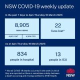 Another big jump in reported NSW cases, hospitalisations and another 22 preventable deaths!!   Thank goodness covid is over!   #auspol #nswpol #CovidIsntOver #CovidIsNotOver #covid19nsw #maskup