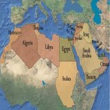 Why don't Iran , Saudi Arabia , Egypt , Dubai, Jordan , kuwait , Bahrain  , Lebanon , Oman and other Arab countries decide to take in the whole population of gaza and save them from the misery they are facing ? Even if it's leaving the territory to I