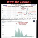 IT WAS THE VACCINE  Vaccine Apologists have sought to claim that the increased in the number of young people being admitted to hospital with cardiac  issues is due mainly to the Covid virus  -  and not the    However, a recent FOI from hospitals in V