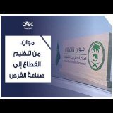 موان.. من تنظيم القطاع إلى صناعة الفرص