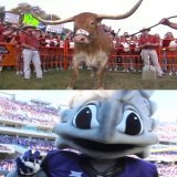 Week 11: AUSTIN    9-0 TCU is headed into a big road test as the Horned Frogs look to continue their perfect streak    @TCUFootball | @TexasFootball