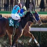 レモンポップ 戸崎圭太騎手 ギルデッドミラー 三浦皇成騎手 好きなふたりの競り合いがかっこよかった レモンポップ重賞初制覇おめでとう