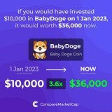 If you have invested $10,000 in #BabyDoge  on 1 Jan 2023 , it would worth $36,000 now.   You can check out  to see how much profit/loss your favourite coin had in any time interval!     #blockchain #bitcoin   #BabyDogeArmy
