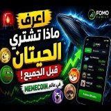 \ud83d\udea8 راقب ماذا تشتري حيتان الـMemecoin قبل الجميع… قد تكون العملة القادمة