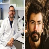 El CSIC consigue dos proyectos  ERC Consolidator Grant El @icmabCSIC empleará una técnica innovadora para mapear procesos tumorales Desde el @ipnacsic  crearán un modelo de gobernanza multiespecie centrada en las relaciones entre humanos y gatos