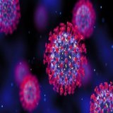 Nuevas claves sobre cómo el coronavirus lleva a cabo la infección  Una región de la proteína Spike actúa como una llave que permite la entrada del virus SARS-CoV-2 a las células