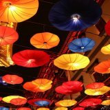 Lunar New Year latern show is a tradition at Yu Garden (豫園) - one of the few things I like for the CNY holiday. #Shanghai  #LunarNewYear