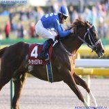 まさかの早逝 タイセイビジョン、安らかに。 #タイセイビジョン