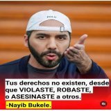 Sondeo Tuitero   Est&aacute; de acuerdo con Bukele?  S&Iacute;:  . .