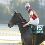 2023/02/18 ダイヤモンドS #ウインキートス 「頑張りましたよ、無事帰ってきましたよ」とこちらに言ってるような横山和生騎手の良い笑顔でした。