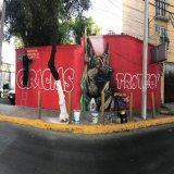 A mural in State of Mexico is up honoring Proteo, the rescue dog that died searching for survivors of the Turkey earthquakes