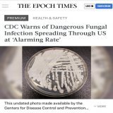 #CDC started warning about a new drug resistant hard to detect fungal outbreak #CandidaAuris which when infected about 30%-60% patients died with complications.