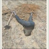 APC  supporters looking for fake news &amp; digging horrible questionable propagandas against the people's incoming president Peter Gregory Obi.   Una go tire   Ebuka | #SaiObi | Olu of Wari | Only Girl | Qudus | Yusuf Alabi | #sundayvibes