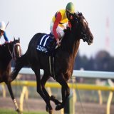 そうですか、、、 ２着を取ったエルコンドルパサーと オルフェーヴルの時は今日よりも 更に重い馬場だったとか&hellip; ダート実績\u25ceのエルコンドルパサー 産駒がダートで走ってるオルフェーヴル  砂適正だけとは言いませんが この辺がカギかもしれませんね&hellip;  #凱旋門賞