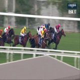#香港マイル カリフォルニアスパングルが制覇 ゴールデンシックスティは 2着まで、3連勝はストップです 日本勢は&hellip;上位争いに加われず&hellip;  香港のレース、なんだか騙馬が多いのですが なぜでしょうか？