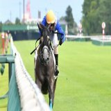 コールドムーンステークス制覇の リフレイムさん ・パドックで寝ようとする ・パドックはいつも最後尾 ・返し馬で外ラチに目線でファンサ ・外に寄れても強い ・芝＆砂のＯＰを制覇 ・獲得賞金1億超え かわいくて強いんですよね