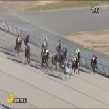 コールドムーンステークス #リフレイム 外へ外へ寄りながらも 3～4馬身の圧勝でした 野中騎手が中京初勝利 リフレイムはダート4戦目で初勝利 現役きっての個性派だそうですよ  これは、ダートグレード競争でも 良い走りが見れそうですね\u266a どれだけ外を走ってるかは 4枚目の画像を参照ください