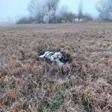 В Молдове обнаружили обломки ракеты после атаки РФ по Украине 14 января