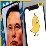 Indian Twitter alternative #Koo offers to hire employees fired by new boss #ElonMusk  #TwitterTakeover | #Twitter