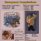 \u2606PLEASE SHARE\u2606  Hawaiian facing eviction tomorrow  My partner, @WuffinKawaii, was not told by their roommate that they had been taken to court for eviction last month. They will be evicted tomorrow. Opening these to help cover storage unit 