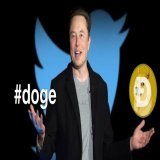 Hey @elonmusk can we combined #doge and the #dogecoin logo to authenticate one of the most trending topics on Twitter?   Hashflag for #DOGE   We want what #Bitcoin  has!