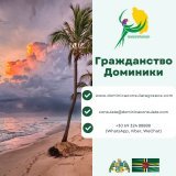 #доминика #карибы #остров #гражданство #иммиграция #недвижимость #бизнес #инвестиции #путешествие #паспорт #виза #россия #москва #санктпетербург #сочи #краснодар #ростов #новосибирск #екатеринбург #природа #russia #moscow #dominica #nature #island #t
