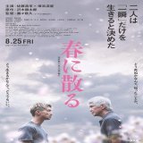 佐藤浩市＆横浜流星W主演『春に散る』公開8月に！特報＆ティザーも   2人の覚悟がコピーに #春に散る #佐藤浩市 #横浜流星 #山口智子 #橋本環奈 #哀川翔 #片岡鶴太郎 #坂東龍汰 #窪田正孝 #松浦慎一郎 #尚玄 #奥野瑛太 #坂井真紀 #小澤征悦