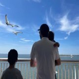 ولدت النوارس من المناديل الملوّحة بالتوديع في الموانئ... #لوركا