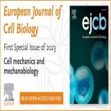 The first Special Issue of 2023 for the European Journal of Cell Biology on cell mechanics and mechanobiology is now published on ScienceDirect. Dive deeper in the topic with 17 ground-breaking research articles and an editorial by the editors - all 