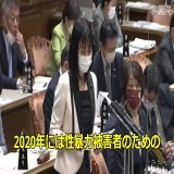 何言ってるかわからないけど全く反省してないことは分かった (2022.11.30参院予算委員会/塩村あやか議員) #杉田水脈 #国会中継