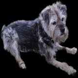 It's all gone a bit East 17 around here  Happy Holidays dear pals #BTPosse Hopes everyone in this special community has a lovely time, whatever the plans. If you are struggling hang in there Me, I'll be feeling smug I'm here. Best. Present. Ever. Mum