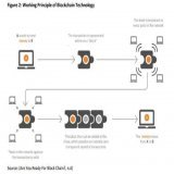 Blockchain teknolojisi internet tabanlı eşler arası bir ağdır. Sistem i&ccedil;inde bulunan eşler arası ağlar dağıtılmış bir uygulama kullanır. Bu ağlara katılan eşler arası sorumlulukları ayıran ve paylaşan mimari ağ yapısı şunları varsayar;   T&uum