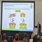 #Bimagrumab en el tratamiento de la #Obesidad (tras 48 semanas de tratamiento):  20.5% Grasa corporal  3.6% Masa magra (#m&uacute;sculo)   En fase de hipertrofia muscular NO afecta al miocardio  Combinado con #semaglutide o #tirzepatida potencia sus 