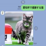 数々のエピソード残してくれたリフレイム引退ありがとう！  愛知杯予想してないし買うかもわかんないけどお気に入り登録馬は、  マリアエレーナ、ホウオウイクセル、ラヴユーライヴ、アイコンテーラー、アブレイズの5頭  マリアエレーナは人気かー ラヴとアブ好きなんだけど足りないかなぁ