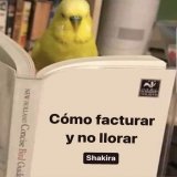 Mood: #shakira #clarachia #Pique #BizaShak