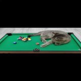 Победа!   from Ucat  Everytimewetouch (Dj后生版) от 盱眙后生