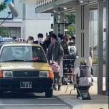 These flowers are those flowers  #佐藤健 #満島ひかり #FirstLove  #FirstLove初恋 #Netflix