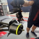 Warning: Graphic image  A picture of the bird that was stuck in Max Verstappen&rsquo;s brakes during the Canadian Grand Prix  Wow   [@Charreljalving]  #F1 #CanadianGP