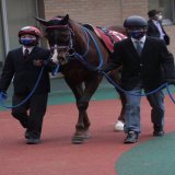 20230115 中京 日経新春杯 アフリカンゴールド 昨年と同じくここから始動 京都記念の逃げ切りは稍重、馬場も味方に付けて今年も一発を！