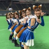 明日は #きつねダンス DAY 『The Fox』を歌うYlvisが札幌ドーム来場 #ファイターズガール と一緒にみみカチューシャ＆きつねのしっぽをつけて一緒に盛り上げましょう  オフィシャルオンラインストア   #fightersgoods #ファンは宝物 #lovefighters
