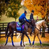 &lsquo;Future Stars&rsquo; Card Begins Breeders&rsquo; Cup 2022  #floridathoroughbreds @FLbred #FloridaBred #horseracing #Ocala #HorseCapitalOfTheWorld #HCOTW @TheBrockTalk