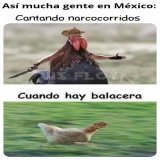 As&iacute; est&aacute; mucha gente en estos momentos tras la detenci&oacute;n de Ovidio Guzm&aacute;n aka "el Rat&oacute;n" del Cartel de Sinaloa por el Ej&eacute;rcito Mexicano. Hay narcobloqueos y terror en Los Mochis, Guasave, Culiac&aacute;n. Per