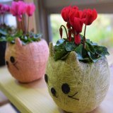 おはようございます 吾輩は猫である（タップしてね） 楽しい日曜日をお過ごしください  #シクラメン #TLを花で一杯にしょう
