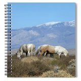 Open the spaces of your mind. And save your thoughts in this #Journal  Find It:   #WildHorse #Horse #Horses #Mustangs #SpringIntoArt #Journals #Journaling #Writing #Writers #SpiralBinder #DailyJournaling #ReflectiveJournaling #HorseLover #Photography